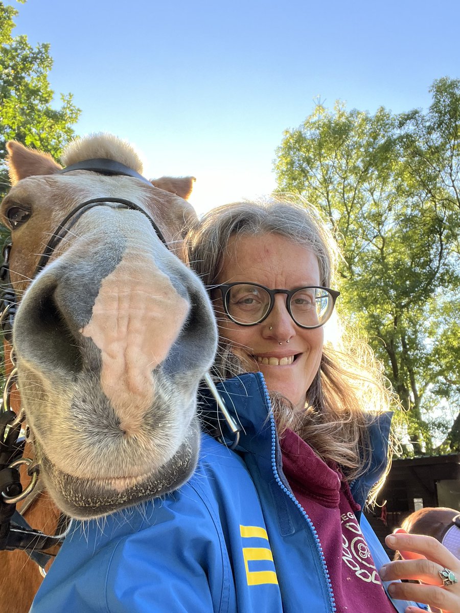 Dr Annabelle James (@ajteesuni) on Twitter photo After the storm… #haflinger #casper #happyplace After the storm… #haflinger #casper #happyplace
