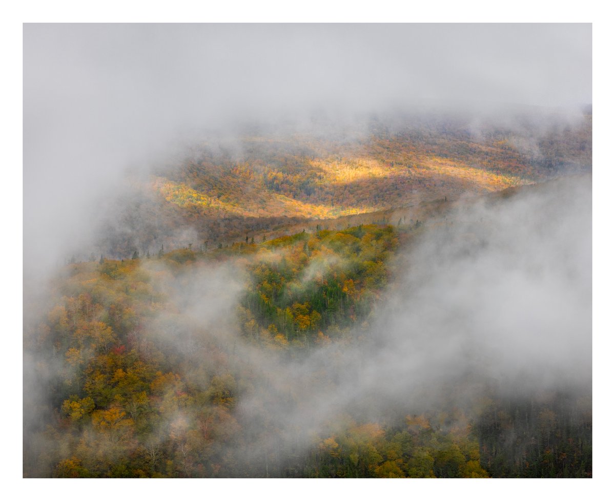 'The Clearing' - This moment was very fleeting. There was no time for tri-pods and setup. We all ran around hand held trying to find little vignettes in the mist to capture this beautiful but brief moment. #novascotiaphotography #capebreton #visitnovascotia #visitcapebreton