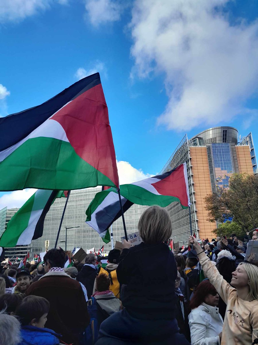 MichelCollon's tweet photo. Nous étions 40 000 aujourd'hui à Bruxelles pour dire stop à l'apartheid, stop à la colonisation et surtout #FreePalestine https://t.co/x3bXNte6wf