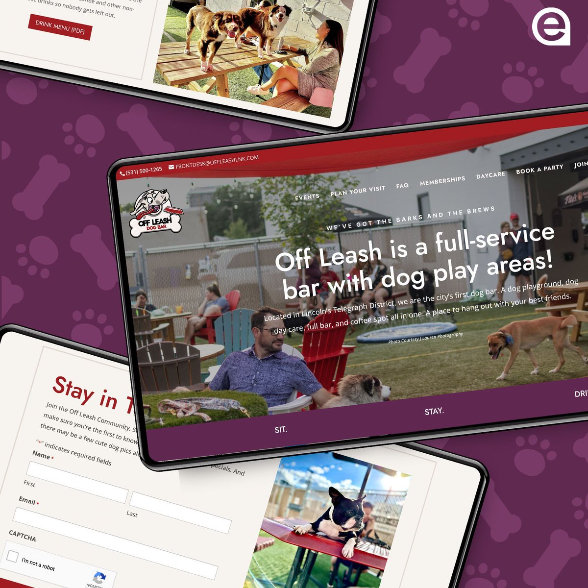 ebbekadesign's tweet photo. Grab your favorite four-legged friend 🐶 and head over to Off Leash Dog Bar to celebrate National Make a Dog’s Day today!  Don't forget to check out their pawsome website we designed to plan your visit in advance and stay up to date with their latest events and offerings. https://t.co/GMHeQDeAAZ