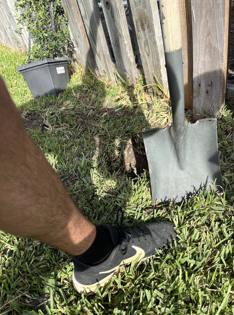 Baseball life means doing yard work in old coaching shoes. #highschoolbaseball #collegebaseball