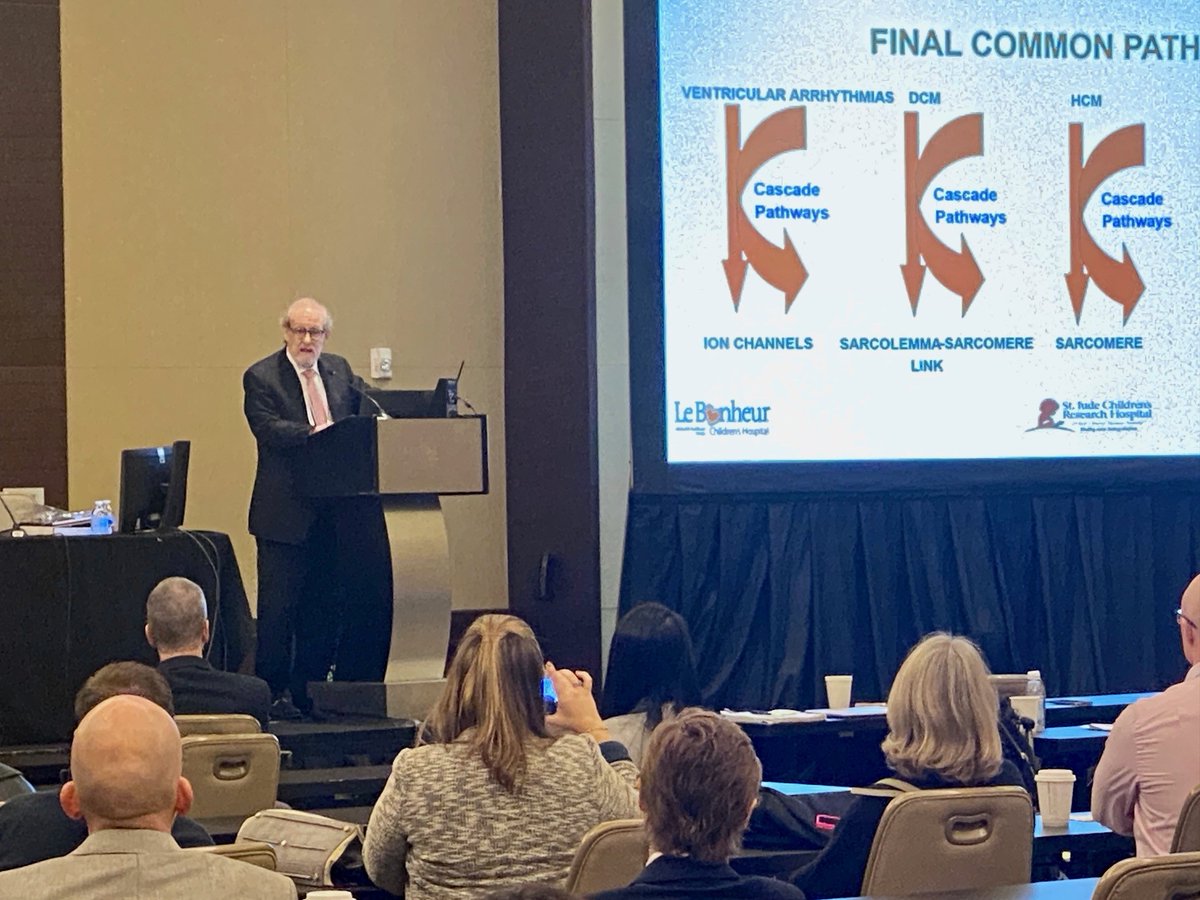 This morning at #AAP2023 Le Bonheur Heart Institute Executive Co-director Jeffrey A. Towbin, MD, MS, received the Helen B. Taussig Founders Award. This award recognizes outstanding contributions in the field of pediatric cardiology and cardiovascular surgery.