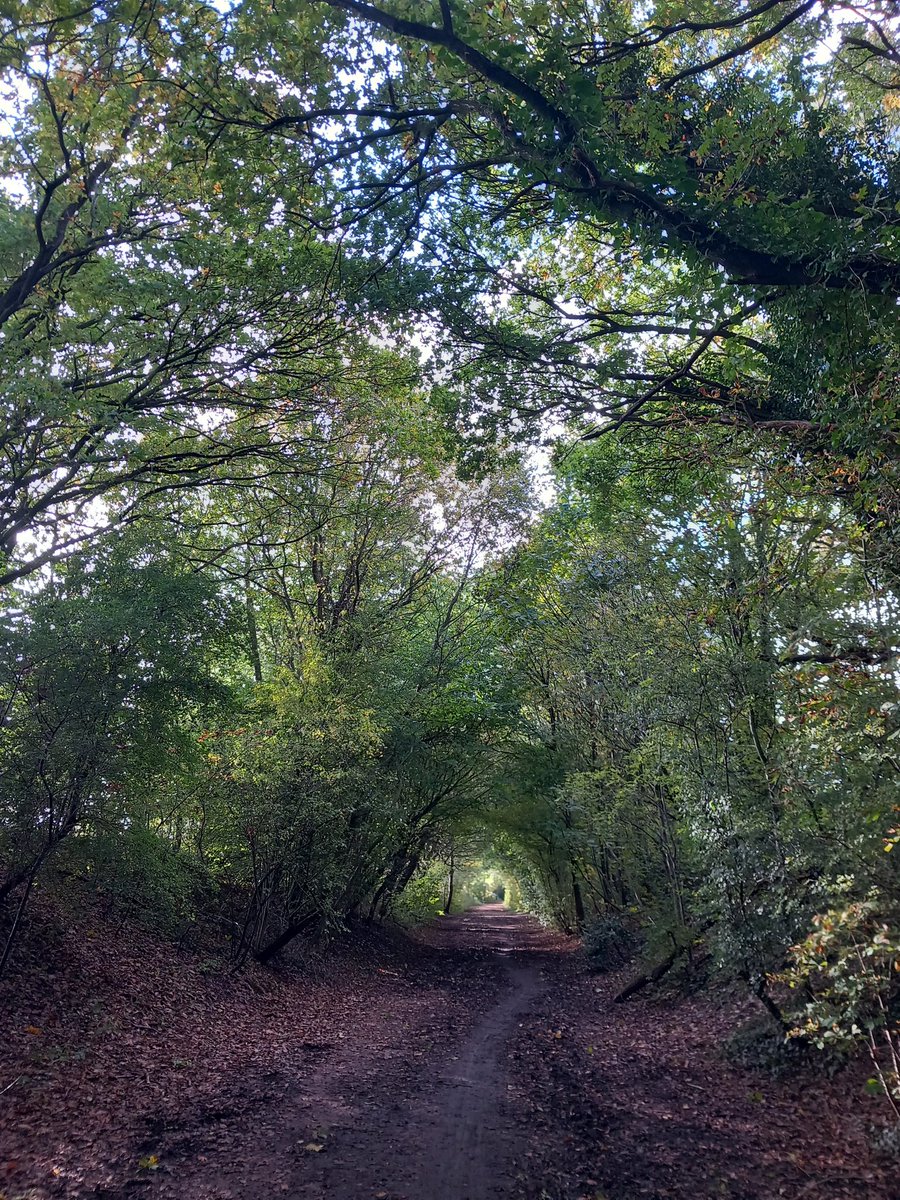 Weekend cycling on the #JonesBike enjoying the 3 Villages - Stockton Heath - Thelwall - Grappenhall along the #TransPennineTrail 🤩🚴‍♂️😎