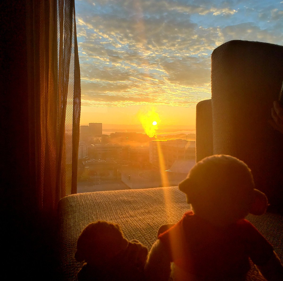 TravelingMocha's tweet photo. George and I caught the sunrise from our hotel room this morning. #MonkeyBusiness #MinnesotaMonkeys #MallOfAmerica #sunrise #silhouette
With @SkepticalGeorge https://t.co/6wH8EinaEK