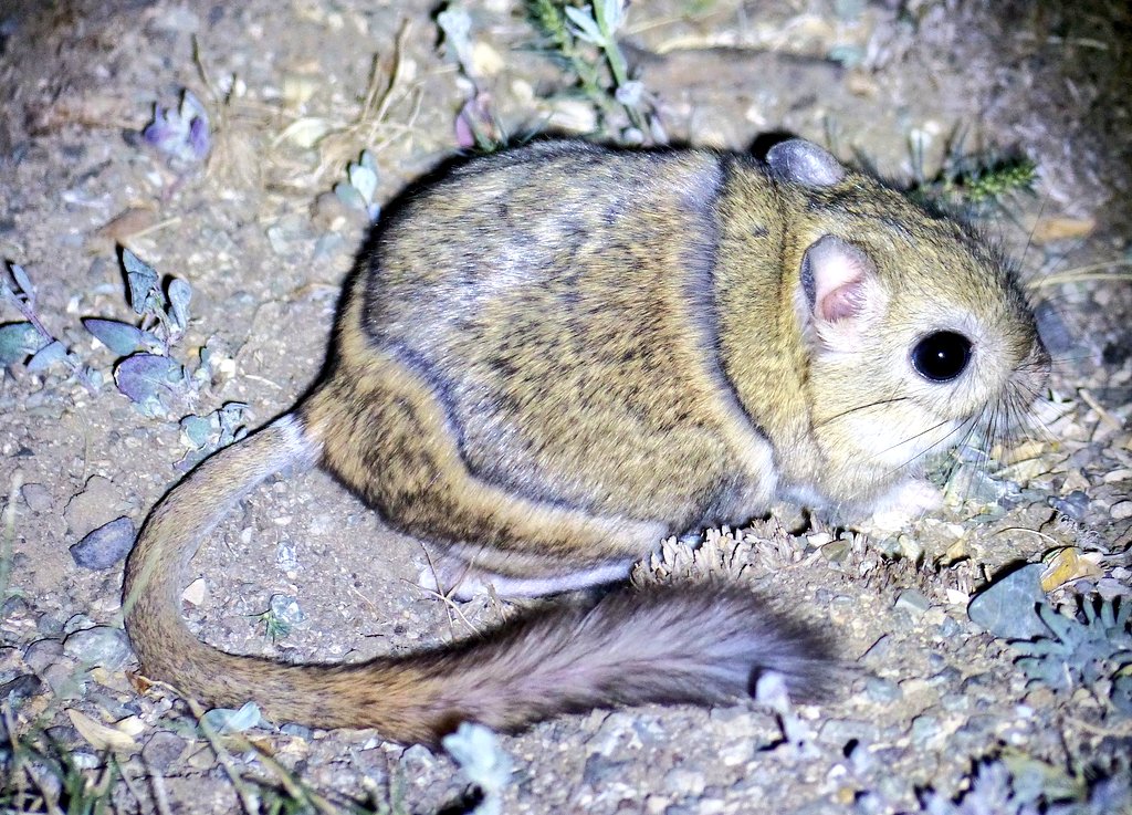 Tom Mabbett tweet media