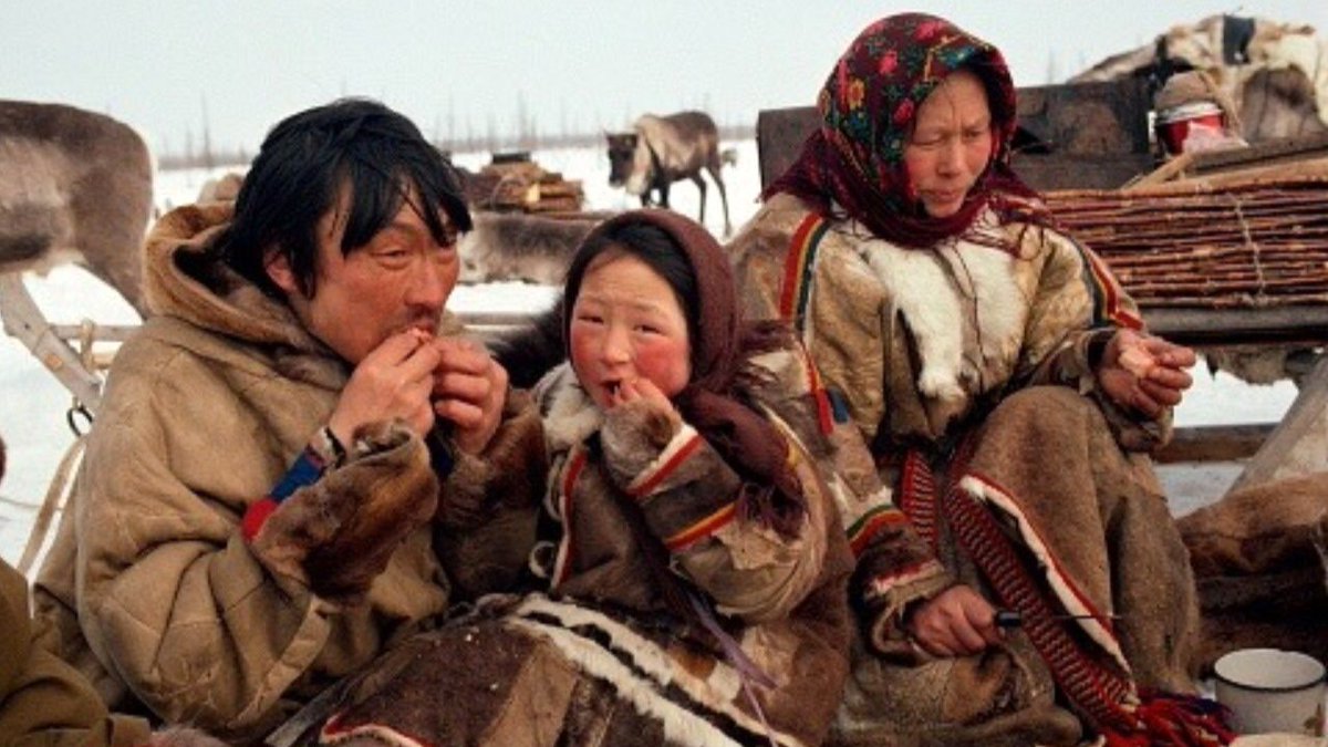 кухня народов севера ненцы. народы сибири ненцы. жители севера едят. река юрибей на ямале. ханты, манси, коми, селькупы, ненцы.