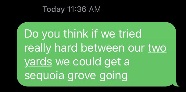 Grey Matter 🏴🏁🏴 tweet media