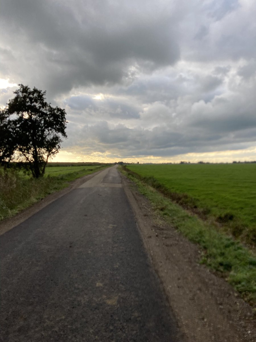 Esmé Wiegman tweet media