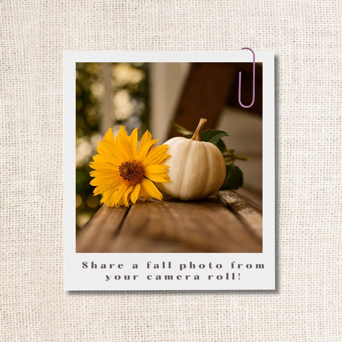brookecommons_'s tweet photo. As the days get shorter, our love for fall grows stronger! Share your favorite sunset views of the season. https://t.co/msSf9OXlQy