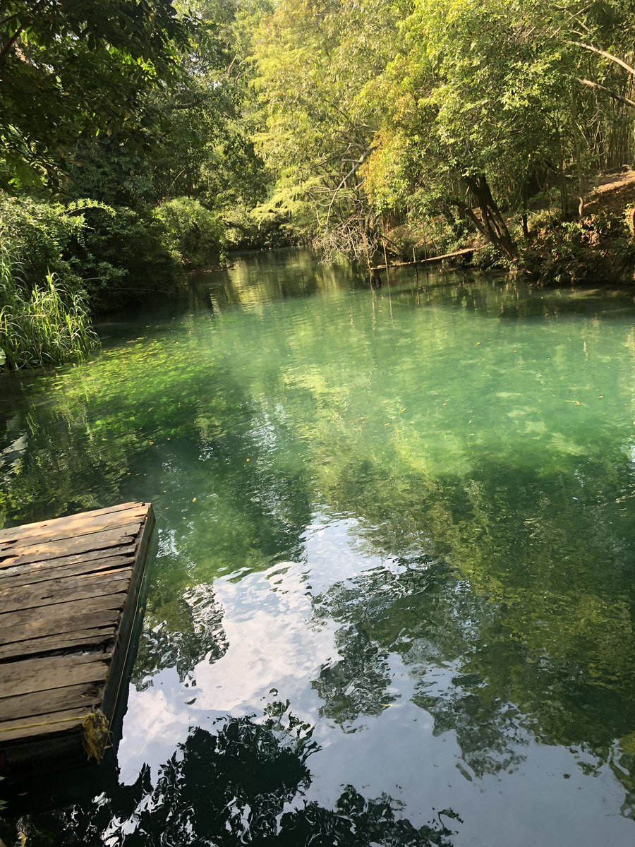 G_betth's tweet photo. En algún lugar💚 https://t.co/LlGKNUaPaI