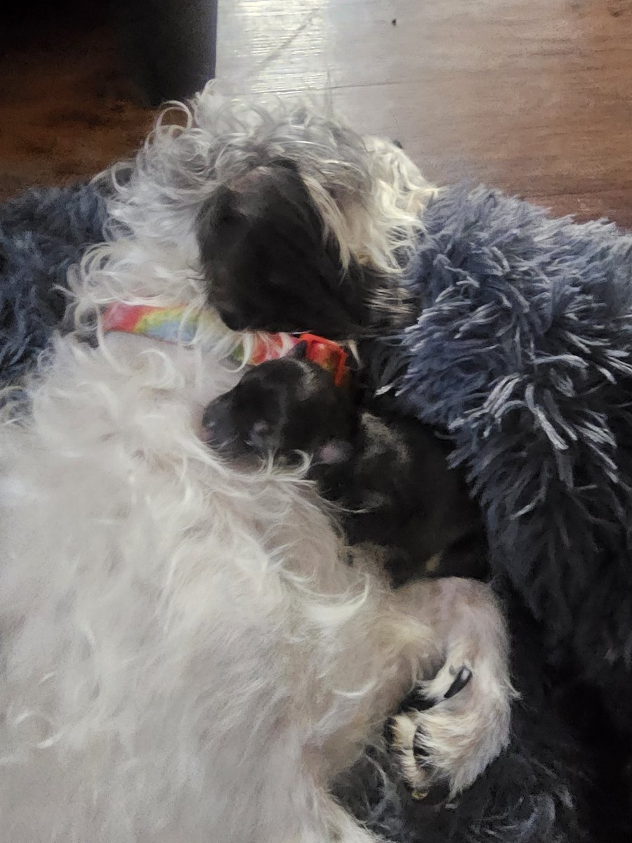 AstroDewd14 tweet media