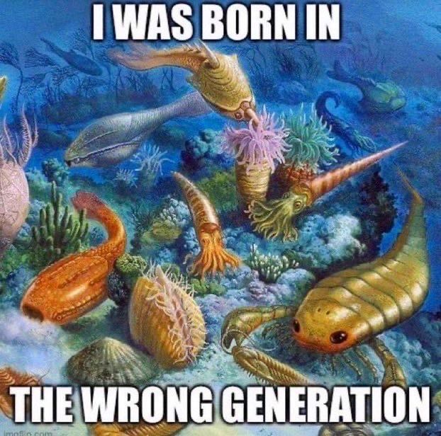 hourly_shitpost's tweet image. 