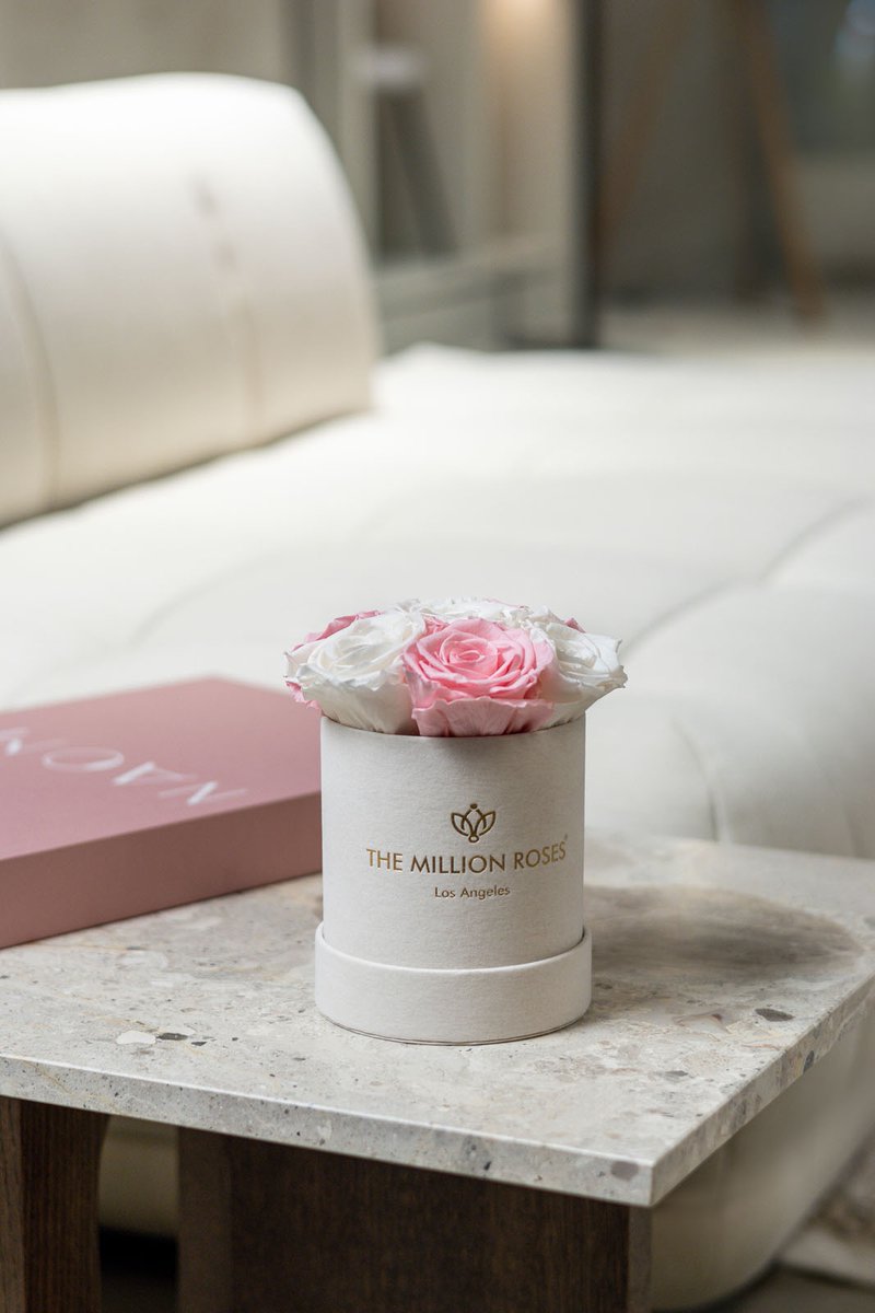 themillionroses's tweet photo. Whether it’s a romantic gesture, a birthday gift, a wedding present or simply home decor for yourself – roses are never a bad idea. Especially ours that last for years.

#TheMillionRoses https://t.co/LulymzmRip