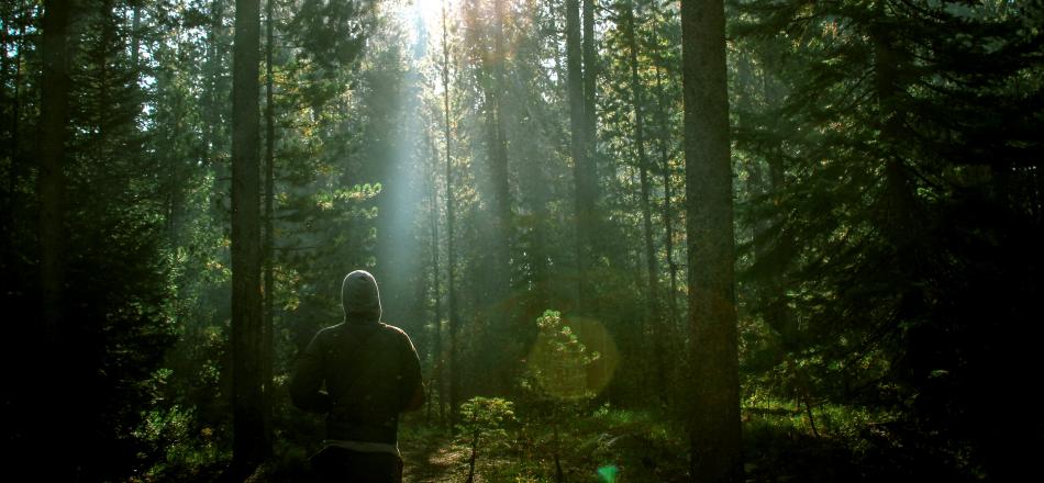 _innercompass's tweet photo. Birds singing, trees rustling. Find out how some #laypeople find that spending time outside in nature helps to soothe and ease distressing symptoms in #psychiatricdrug #withdrawal. #CopeHeal #WithdrawalProject
https://t.co/4UXRHqrAE3 https://t.co/rlXK3EK2gT