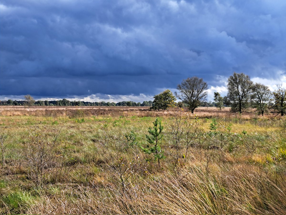 3e etappe (Groningen - Zuidlaren) &amp; 4e (Zuidlaren - Rolde) etappe volbracht van @St_Pieterpad. Wat een prachtige route door <a href="/ProvincieDR/">Drenthe</a>.