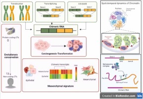 boris_ctcf's tweet photo. Pattern recognition in the landscape of seemingly random chimeric transcripts.

Computational and Structural Biotechnology Journal.

Published October 17, 2023.

=>  https://t.co/xNgjFhfPRF https://t.co/vYLn3sM3PT