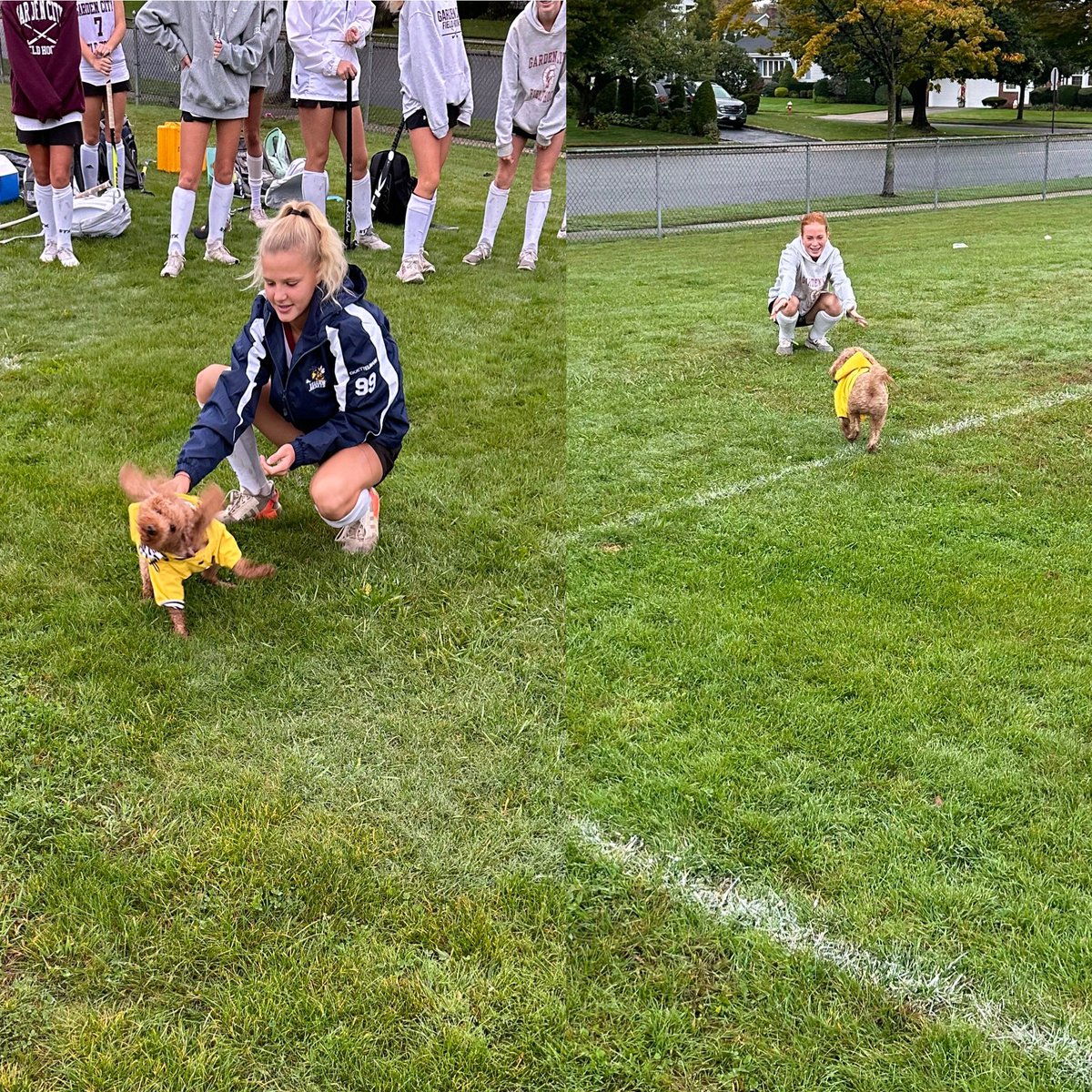 MrsCamGC's tweet image. A rainy win to end our season, with a special guest score-keeper! 🐶 So proud of the #GCJVFH 🏑 team this year, ending with a record of 7–3-0. Truly loved working with these girls every day, and am so proud to be their coach! 🫶🏻⭐️ #HEYRED @GC_ATHLETICS_