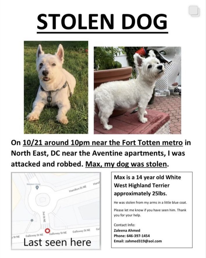 WHAT AN OUTRAGE --- this poor woman was beaten and robbed of her dog last night near #FortTottenDC #wmata station. Please help her get her dog returned.