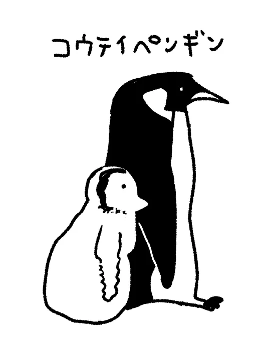 コウテイペンギン選手権参加した 