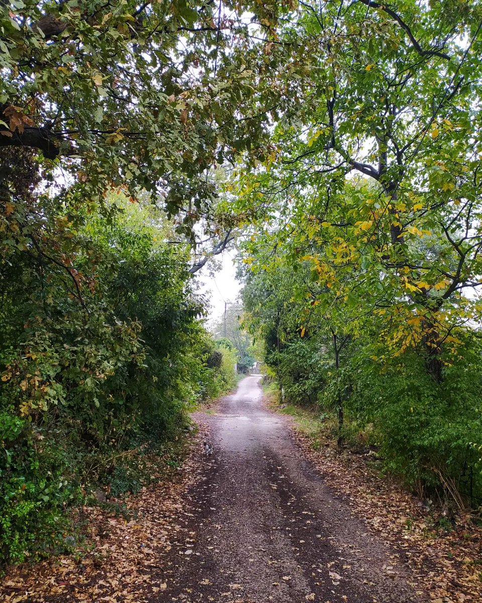 Simge_246's tweet photo. Wisdom is how calm you are when faced with any negative situation.
🍁🍂🌿 https://t.co/w3Ncb2St9F