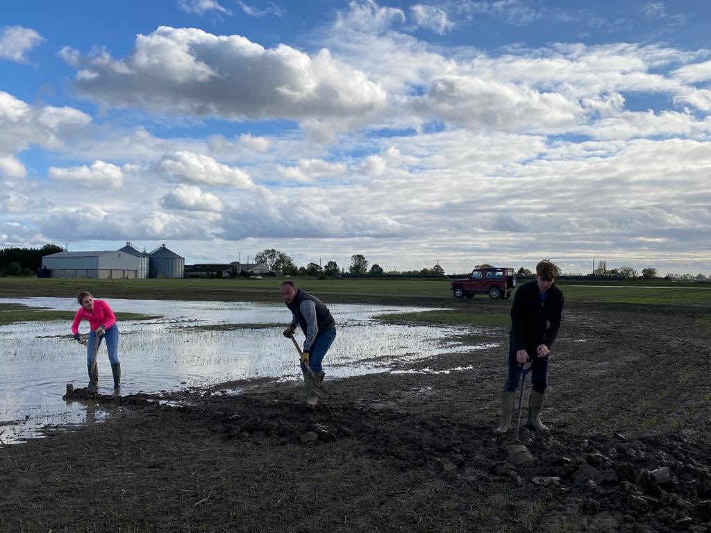 james pocklington tweet media