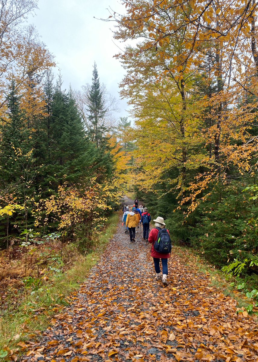 The rain did not stop us from hiking Sandy Lake Regional Park today! Thanks to everyone (dogs included) who came out to see Sandy Lake’s fall colours in action. Check out @sandylake_park  for more info, and ways to raise your voice to Save Sandy Lake!