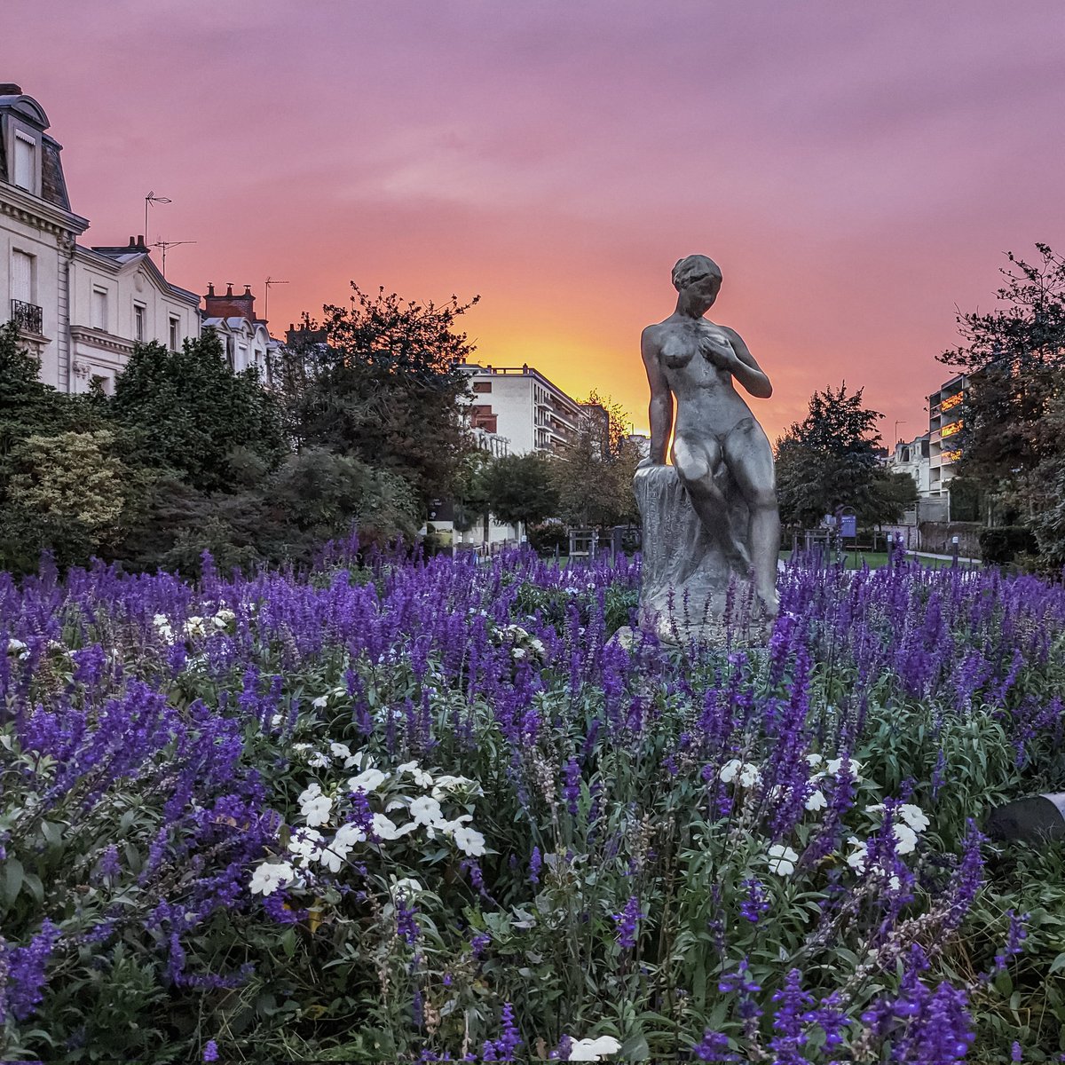 au jardin du Mail 🌄 

#instAnjou #Angers #visitAngers #supernatureangers #cultureAngers #angerspatrimoines #MaineEtLoire #Anjou #PaysDeLaLoire #teamPixel #pixel6a