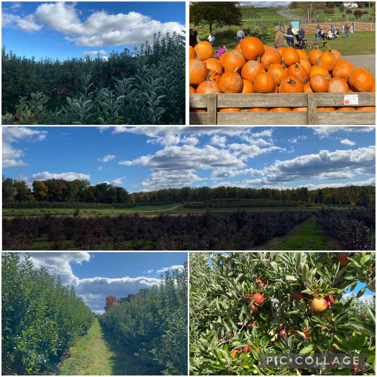 Beautiful morning for Apple picking with family🍎 #SundayFunday
