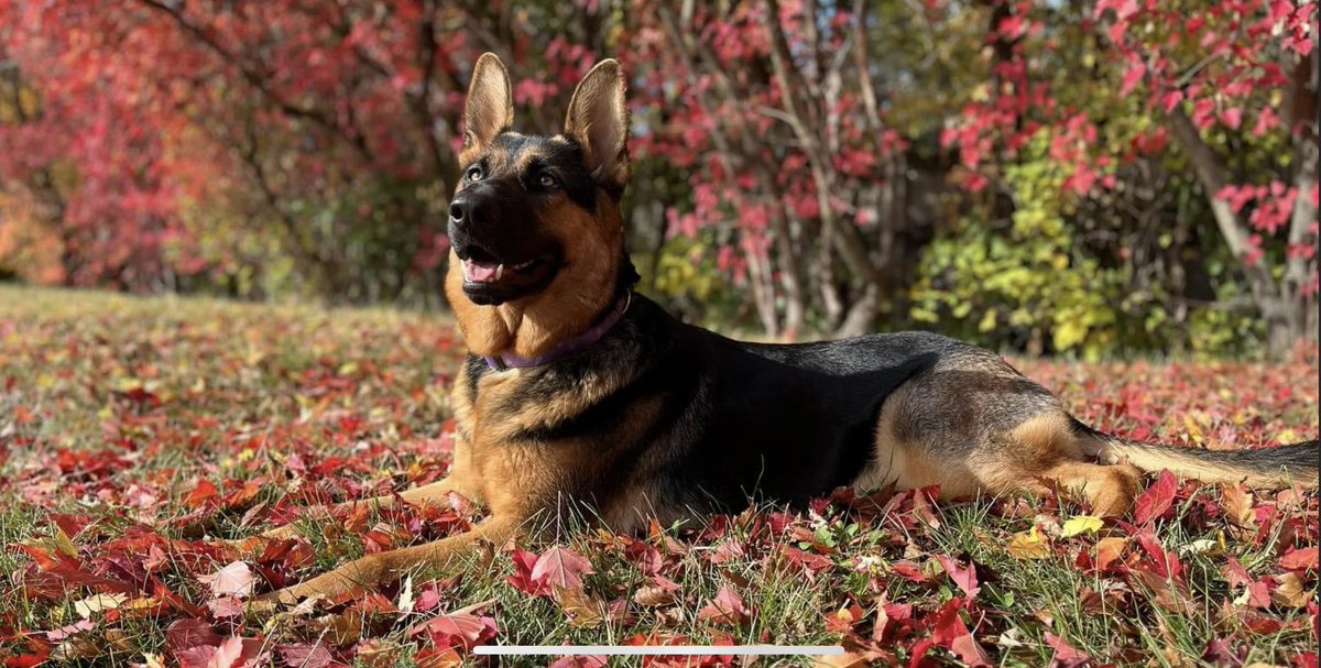 First Official Fall Photo!