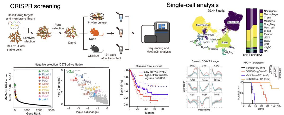 Junbin Qian tweet media