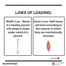 aces_48's tweet image. Many a Wolf and Davis Law in these RDL’s.  For the, “you only have one back guy” is this then not why we train?