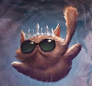 Mark Potter tweet media