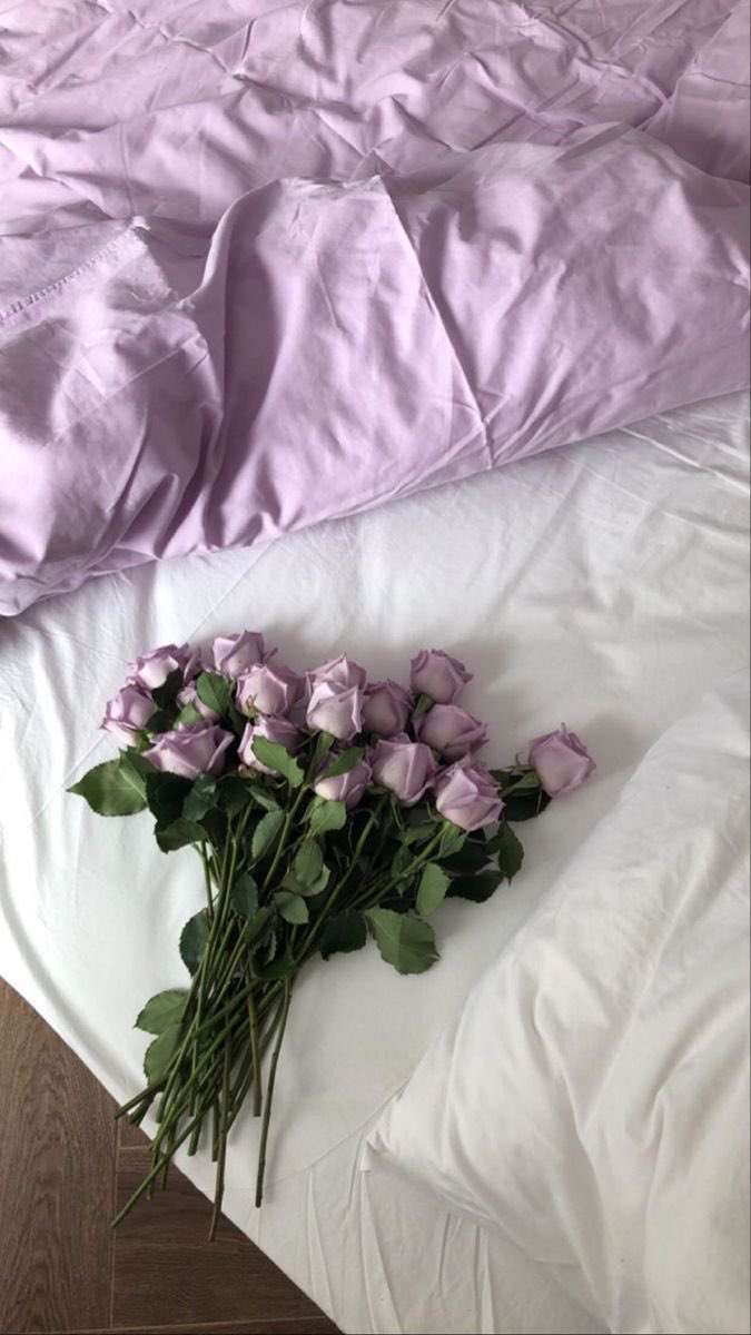 Butterflless's tweet photo. Purple 💜 https://t.co/ir1OggrduV