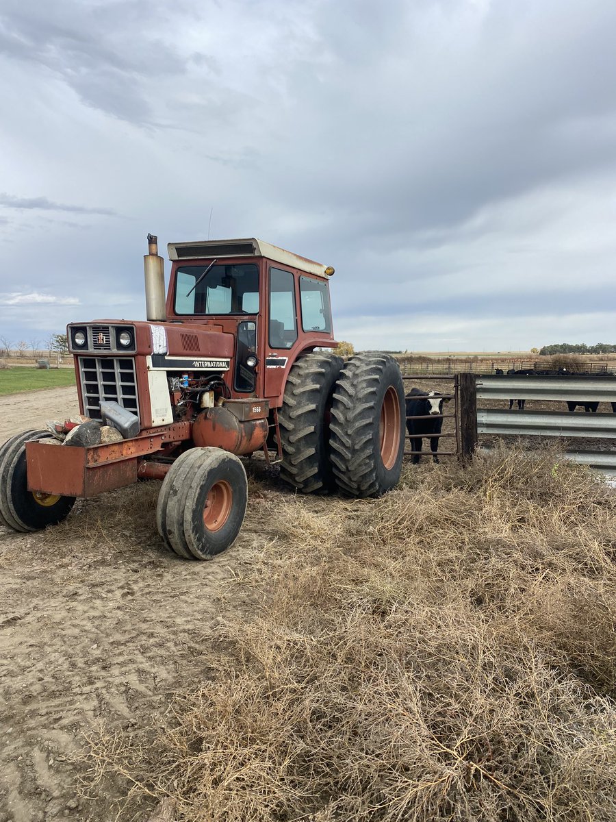 Incase anyone wondered what a good use for a 1566 was.