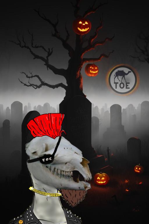 cudaback_chris's tweet photo. Getting closer....Let's ToE #DeFi #crofam #ToE #camelfam #CamelTOEcan https://t.co/AJJaXij2jA