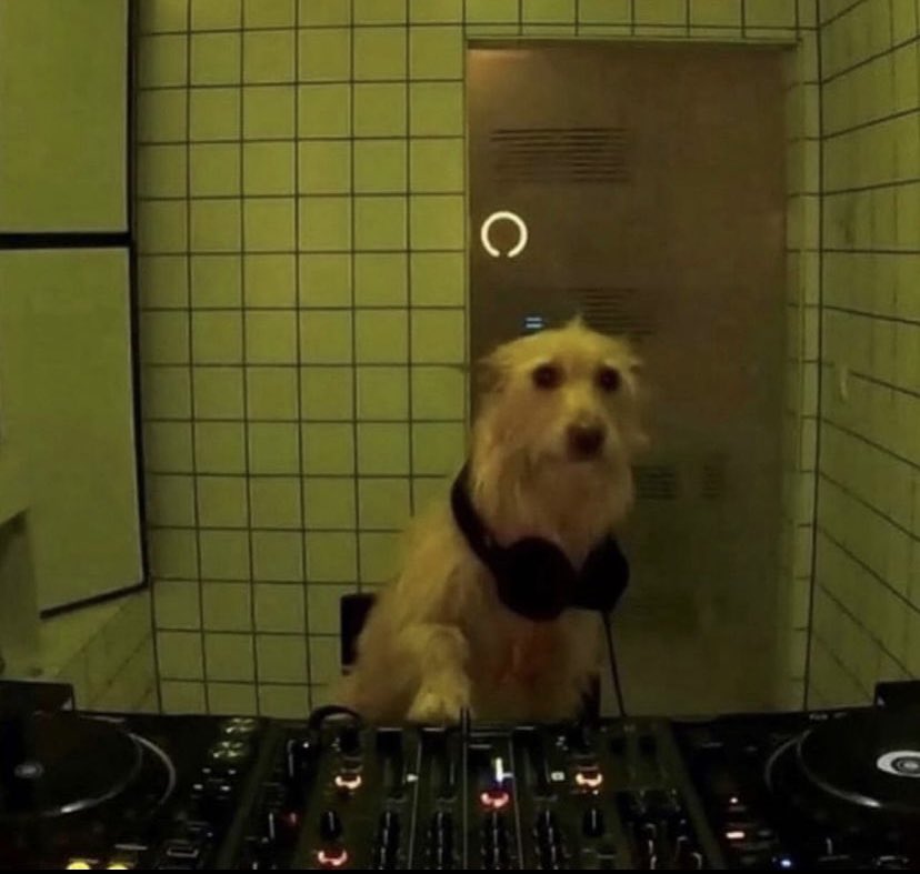 (( URY Music )) tweet media