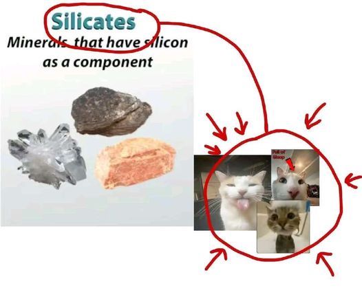 GeologyTime's tweet image. Silicate! 😂