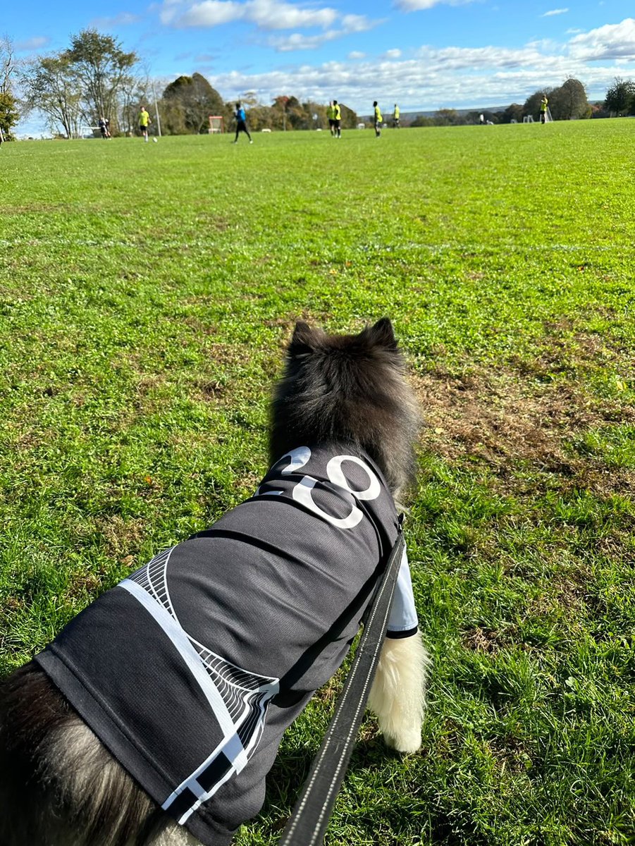 NewportRI_FC's tweet image. Newport FC draws St. Mendez 2-2. Over 30s pick up another 3 points with a 5-2 win. Club president @BryanHessler playing in net for both squads!