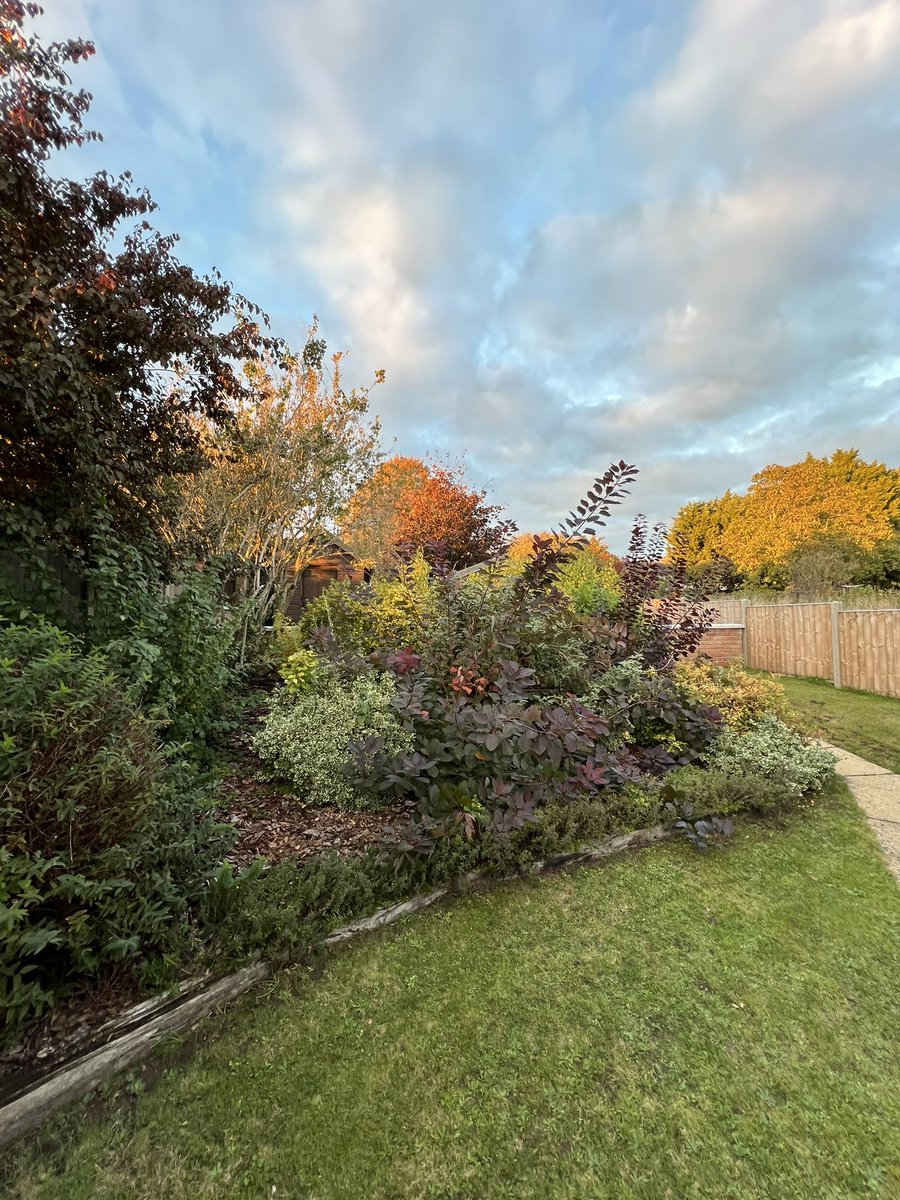 Andy Bates tweet media