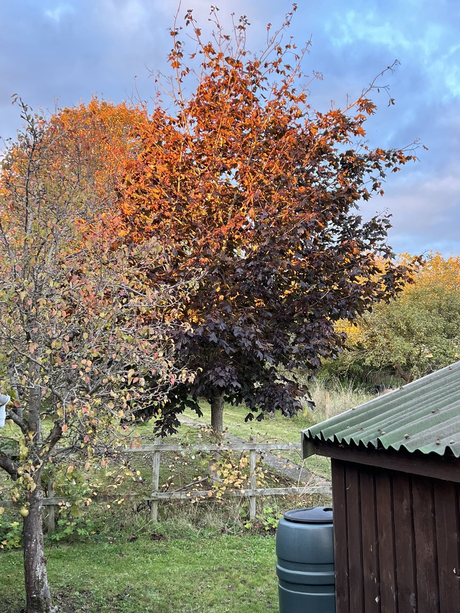 Andy Bates tweet media