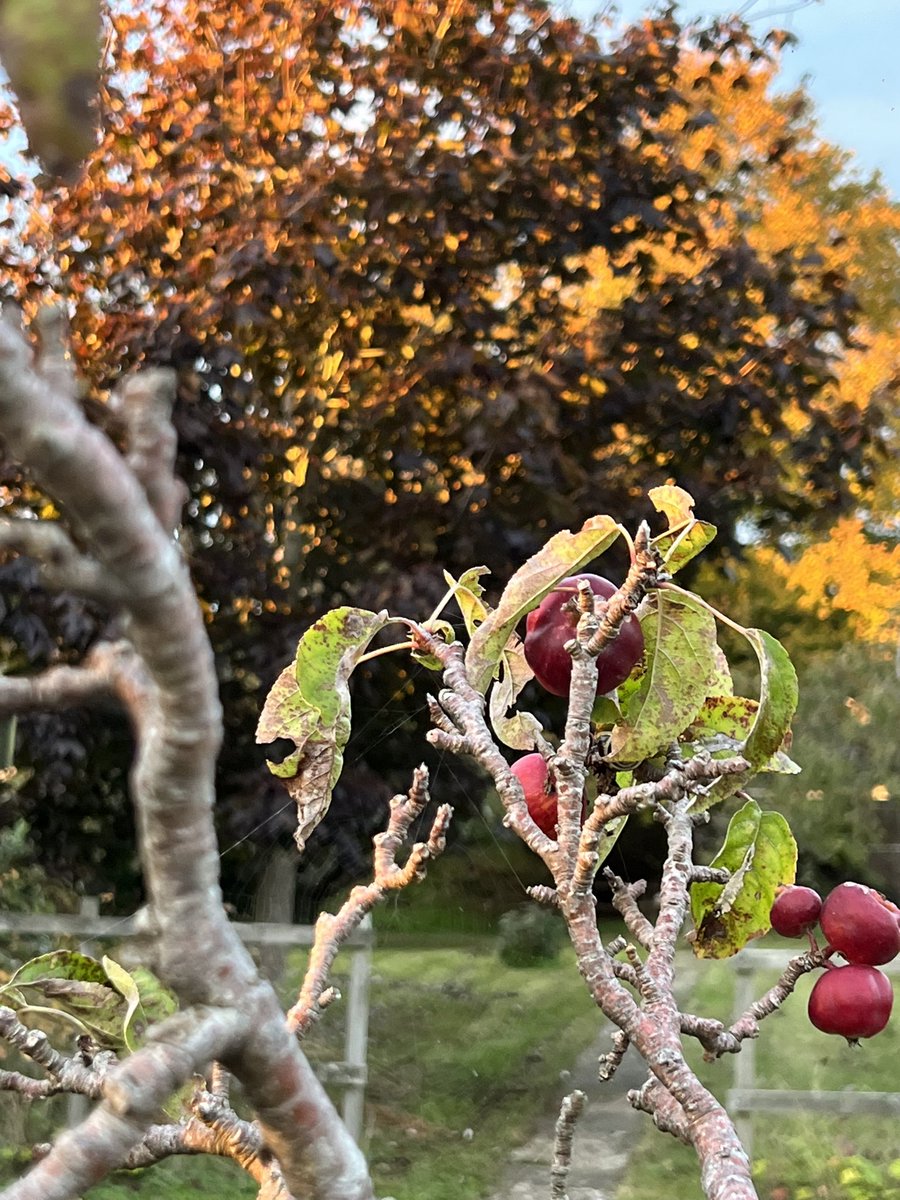 Andy Bates tweet media