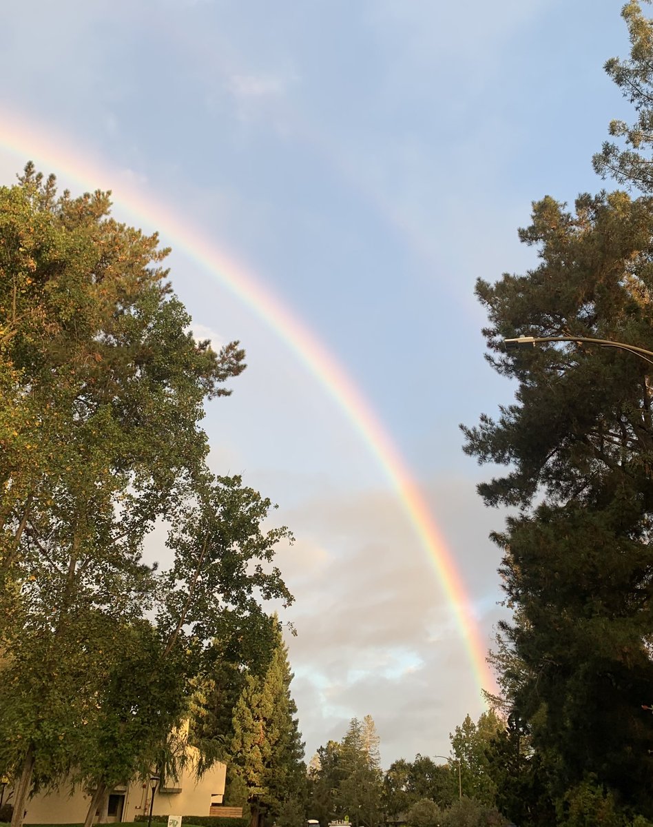 Catherine Curtin tweet media