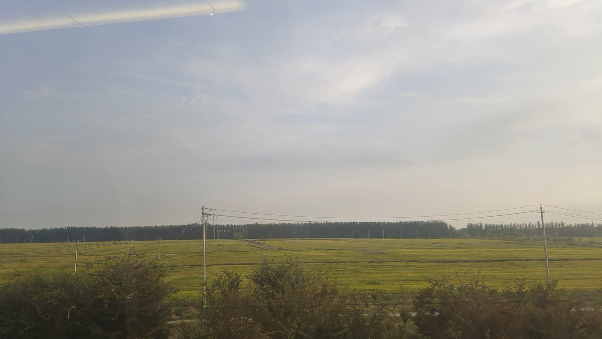 sofui_towairait's tweet photo. 人生总在路上，
书页纷飞，
遇见的是不一样的景色；
时间一直向前，
白驹过隙，
遗忘的总会不经意想起。 https://t.co/HqM7OcXo7Q
