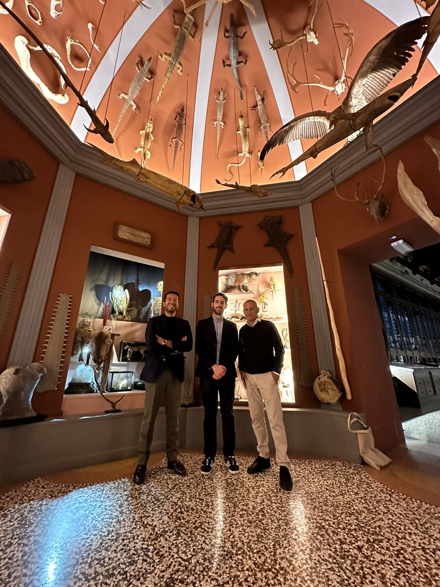 MUSEI DI VENEZIA tweet media