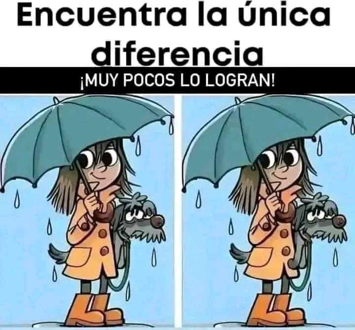 Enséñame de Ciencia tweet media