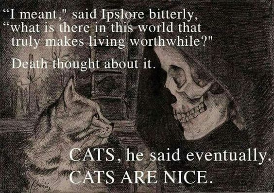 Cats Are Nice (Most of the Time)
