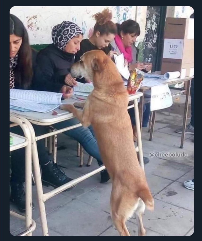 ¿Como que no estoy? Busquen bien, con F de Firulais.

 #Elecciones2023