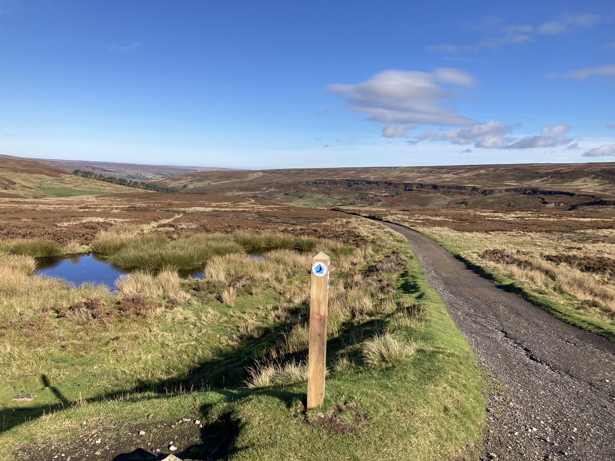 ratherbrunning's tweet photo. Always nice to run on some new local trails. It was a beautiful day on the NYMs. Pleased I wasn’t running past the Grim Sheeper in the dark 🐑👻😆! #trailrunning #nymoors #battersby #bankfoot #halloween https://t.co/Fi27ysVkAL