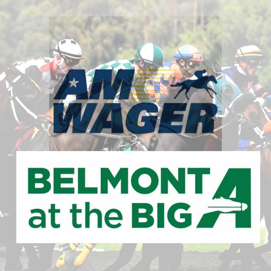 AmWager's tweet image. Belmont at the Big A horses for the second race are warming up, the 9 race card headlined by the $125 000 Carle Place Stakes, race 8, 4:22pm est. Play with AmWager to get your daily wager rewards! It's free to sign up! AmWager.com #aqueduct #rewards #freesignup