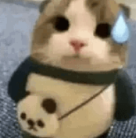 Sav tweet media